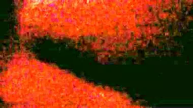 Trini Indian Girl Fucking