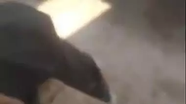 Desi Bhabhi Fucked vdo