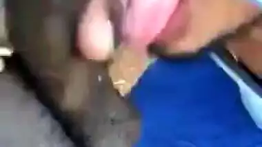 Horny Boy giving Nice BJ
