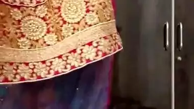 Remove my saree - Desi Escort girl Manusha Tranny exposing 