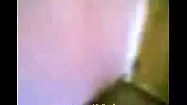 Tit Flashing Housewife