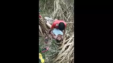 Local Desi Randi Having Sex In Jungle With Client
